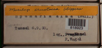 Image Associated With the Occurence